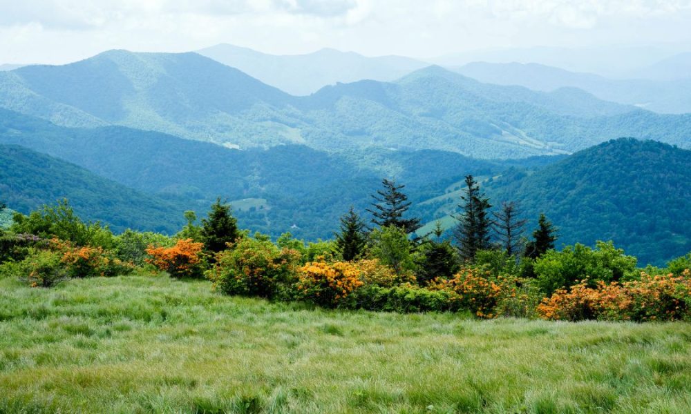 La venta de aire limpio crece en Galicia | Ulises Galicia