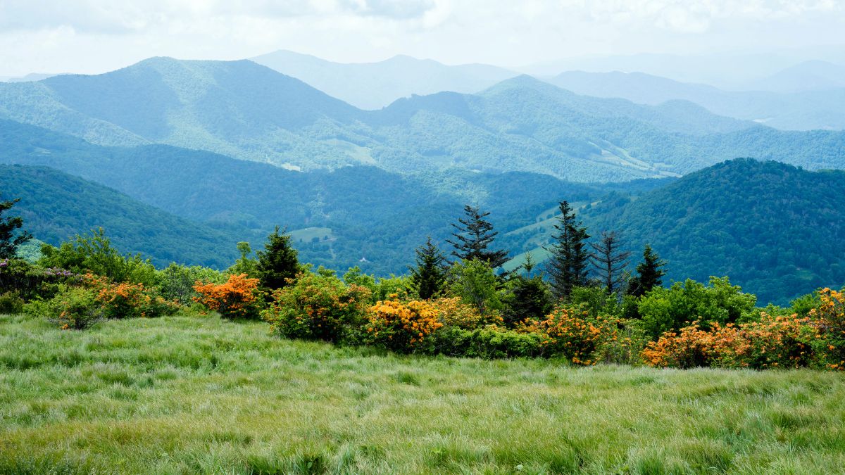 La venta de aire limpio crece en Galicia | Ulises Galicia