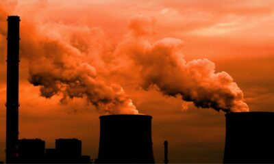 La Xunta aprueba la Declaración de Impacto Ambiental a Ence | Ulises Galicia