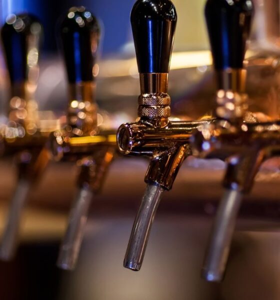 Estrella Galicia inaugura su nueva megaplanta en Arteixo | Ulises Galicia