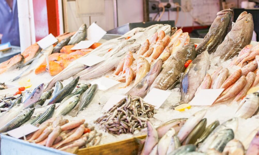 La Xunta lanza el Bono Peixe | Ulises Galicia