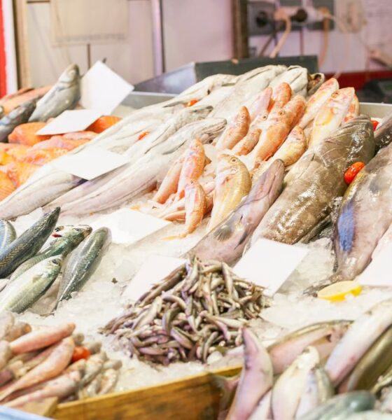 La Xunta lanza el Bono Peixe | Ulises Galicia