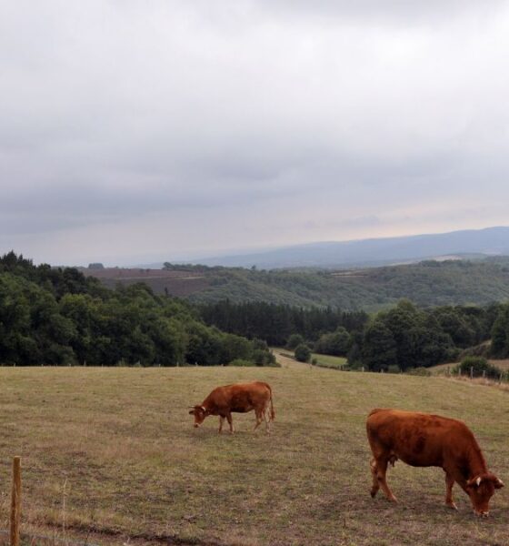 4,7 millones en ayudas para la digitalización rural | Ulises Galicia