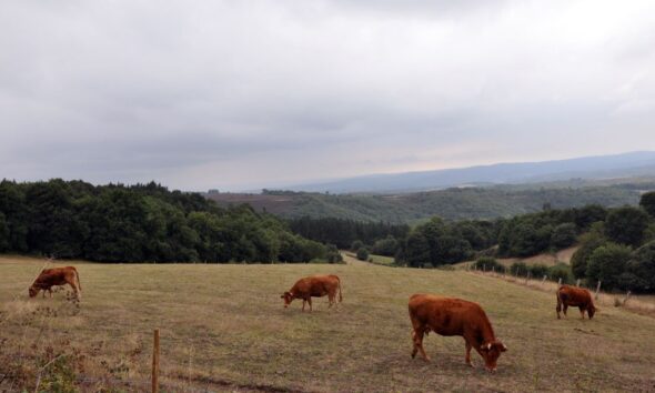 4,7 millones en ayudas para la digitalización rural | Ulises Galicia
