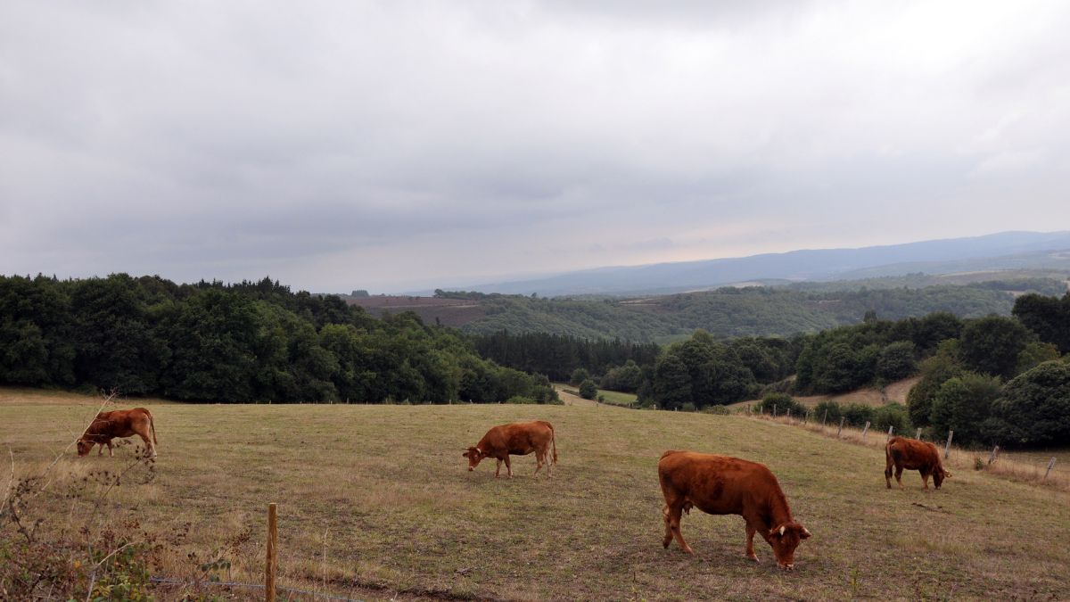 4,7 millones en ayudas para la digitalización rural | Ulises Galicia