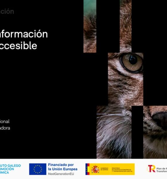 Lynx, la IA gallega que busca facilitar el acceso a la información pública | Ulises Galicia