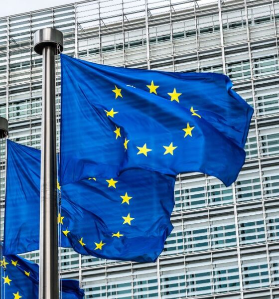 La Unión Europea aprueba una nueva tasa para compras online | Ulises Galicia