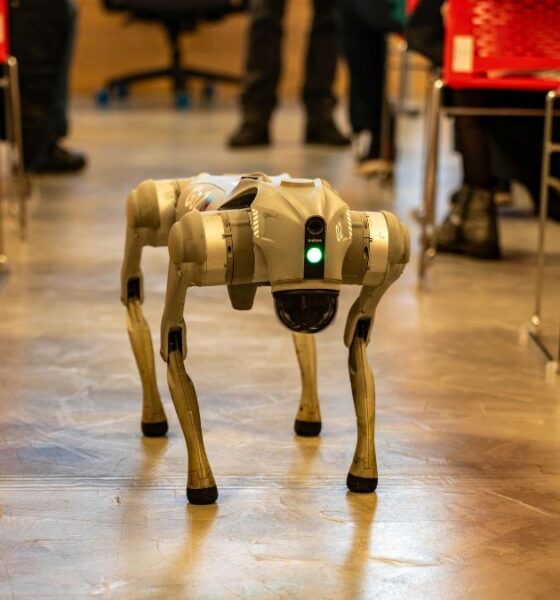 La Maker Faire Galicia celebra su XII edición | Ulises Galicia, noticias sobre economía, empresas, tecnología y marketing en Galicia