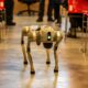 La Maker Faire Galicia celebra su XII edición | Ulises Galicia, noticias sobre economía, empresas, tecnología y marketing en Galicia