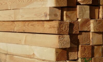 El Premio Cámara de Comercio-Ence a la Innovación Forestal regresa el martes 16 | Ulises Galicia, noticias sobre economía, empresas, tecnología y marketing en Galicia