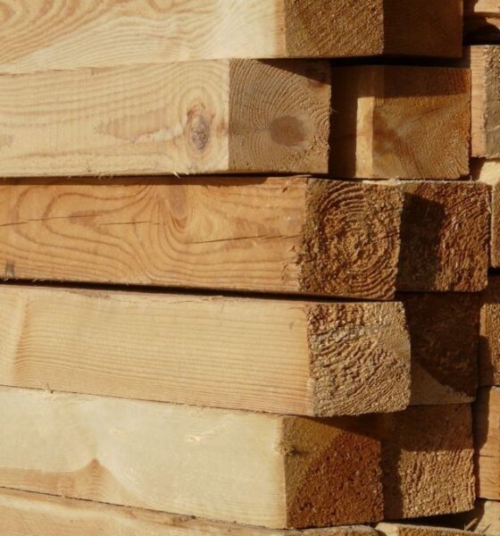 El Premio Cámara de Comercio-Ence a la Innovación Forestal regresa el martes 16 | Ulises Galicia, noticias sobre economía, empresas, tecnología y marketing en Galicia