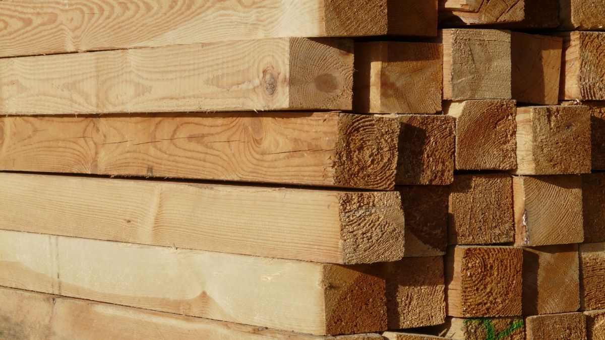 El Premio Cámara de Comercio-Ence a la Innovación Forestal regresa el martes 16 | Ulises Galicia, noticias sobre economía, empresas, tecnología y marketing en Galicia